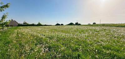 Terrain à Fonsomme en Aisne (02) de 4834 m² à vendre au prix de 85000€ - 4