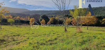 Terrain à Brissac en Hérault (34) de 1025 m² à vendre au prix de 130000€ - 3