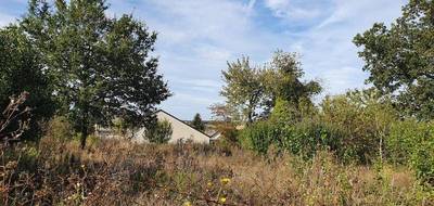 Terrain à Saint-Fargeau en Yonne (89) de 880 m² à vendre au prix de 19000€ - 2