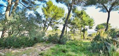 Terrain à Clermont-l'Hérault en Hérault (34) de 3865 m² à vendre au prix de 38000€ - 2