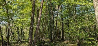 Terrain à Guignes en Seine-et-Marne (77) de 7253 m² à vendre au prix de 23500€ - 1