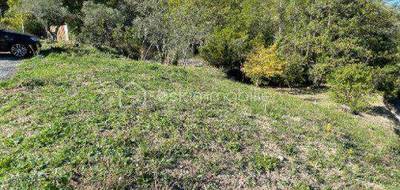 Terrain à Figanières en Var (83) de 401 m² à vendre au prix de 106000€ - 4