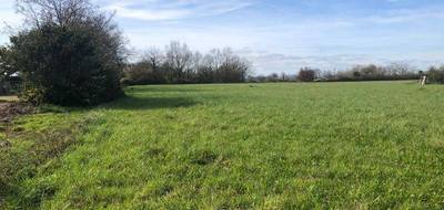 Terrain à Saint-Philbert-de-Grand-Lieu en Loire-Atlantique (44) de 10045 m² à vendre au prix de 391800€ - 1