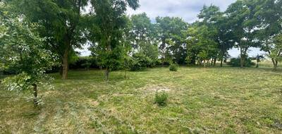 Terrain à La Chapelle-Saint-Martin-en-Plaine en Loir-et-Cher (41) de 1454 m² à vendre au prix de 46750€ - 3