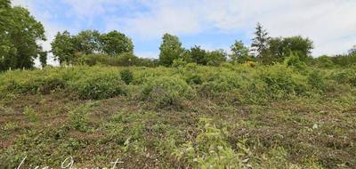 Terrain à Jumeauville en Yvelines (78) de 1999 m² à vendre au prix de 150000€ - 3