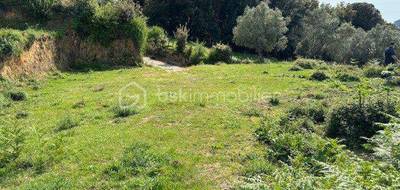 Terrain à Olivese en Corse-du-Sud (2A) de 0 m² à vendre au prix de 105300€ - 1