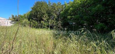 Terrain à La Flotte en Charente-Maritime (17) de 250 m² à vendre au prix de 399000€ - 4