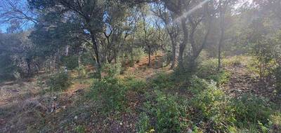 Terrain à Oraison en Alpes-de-Haute-Provence (04) de 2847 m² à vendre au prix de 240000€ - 3