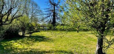 Terrain à Montauban en Tarn-et-Garonne (82) de 820 m² à vendre au prix de 69000€ - 2