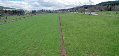 Terrain à Araules en Haute-Loire (43) de 8830 m² à vendre au prix de 125000€ - 2