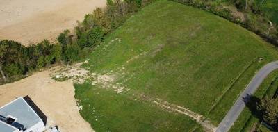 Terrain à L'Isle-en-Dodon en Haute-Garonne (31) de 8500 m² à vendre au prix de 55000€ - 3