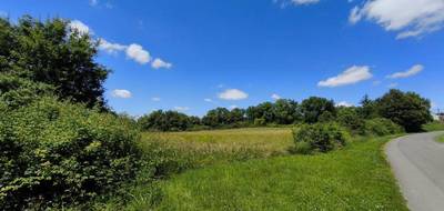 Terrain à Gron en Cher (18) de 6857 m² à vendre au prix de 35400€ - 3