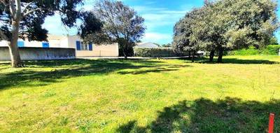 Terrain à Saint-Georges-d'Oléron en Charente-Maritime (17) de 773 m² à vendre au prix de 340000€ - 3