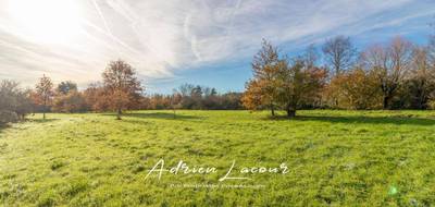 Terrain à Romorantin-Lanthenay en Loir-et-Cher (41) de 4077 m² à vendre au prix de 54990€ - 1