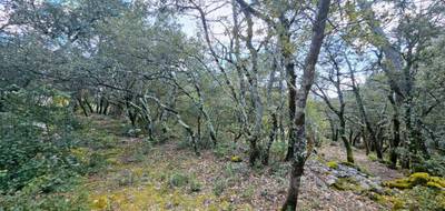 Terrain à Camps-la-Source en Var (83) de 4000 m² à vendre au prix de 298500€ - 4