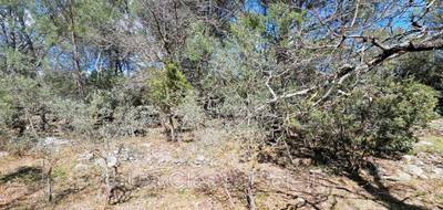 Terrain à Camps-la-Source en Var (83) de 1585 m² à vendre au prix de 148000€ - 3