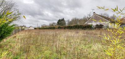 Terrain à Cheverny en Loir-et-Cher (41) de 2373 m² à vendre au prix de 93000€ - 2