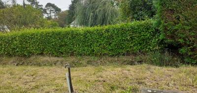 Terrain à Telgruc-sur-Mer en Finistère (29) de 1200 m² à vendre au prix de 116000€ - 4