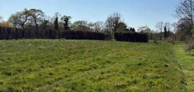 Terrain à Bobital en Côtes-d'Armor (22) de 743 m² à vendre au prix de 85200€ - 3