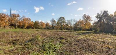 Terrain à Pruniers-en-Sologne en Loir-et-Cher (41) de 1133 m² à vendre au prix de 27990€ - 1