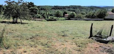 Terrain à Cezay en Loire (42) de 2873 m² à vendre au prix de 60200€ - 3