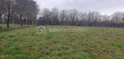 Terrain à Duhort-Bachen en Landes (40) de 2210 m² à vendre au prix de 65000€ - 2