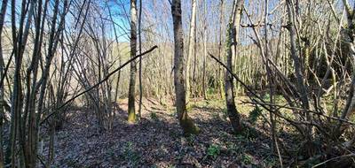 Terrain à Tulle en Corrèze (19) de 1430 m² à vendre au prix de 17990€ - 3