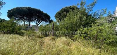 Terrain à La Flotte en Charente-Maritime (17) de 250 m² à vendre au prix de 399000€ - 2