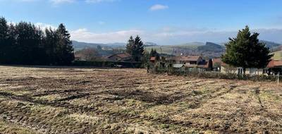 Terrain à Violay en Loire (42) de 1000 m² à vendre au prix de 85000€ - 4