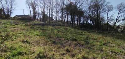 Terrain à Baden en Morbihan (56) de 332 m² à vendre au prix de 295000€ - 4