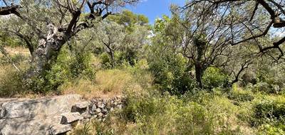 Terrain à Claviers en Var (83) de 3015 m² à vendre au prix de 168500€ - 4
