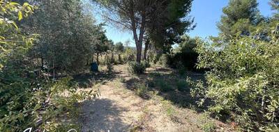 Terrain à Rognac en Bouches-du-Rhône (13) de 526 m² à vendre au prix de 185000€ - 2