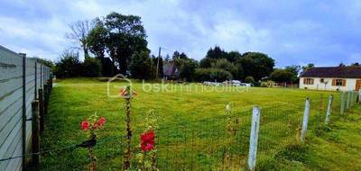 Terrain à Senneville-sur-Fécamp en Seine-Maritime (76) de 985 m² à vendre au prix de 65000€ - 1