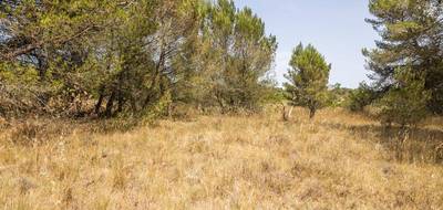 Terrain à Malves-en-Minervois en Aude (11) de 8952 m² à vendre au prix de 30000€ - 2