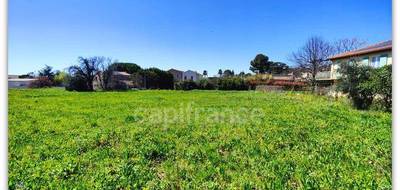 Terrain à Neffiès en Hérault (34) de 740 m² à vendre au prix de 147000€ - 1