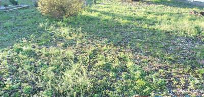 Terrain à Jumièges en Seine-Maritime (76) de 730 m² à vendre au prix de 57500€ - 2