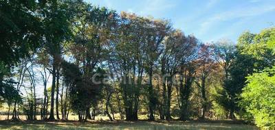 Terrain à Le Chautay en Cher (18) de 9346 m² à vendre au prix de 88000€ - 4