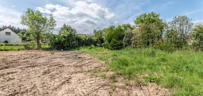 Terrain à La Fermeté en Nièvre (58) de 2430 m² à vendre au prix de 35000€ - 4