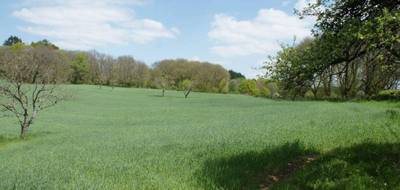 Terrain à Beynat en Corrèze (19) de 31080 m² à vendre au prix de 129600€ - 4