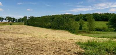 Terrain à Riscle en Gers (32) de 18000 m² à vendre au prix de 62000€ - 4