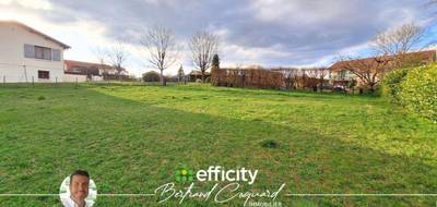 Terrain à Vindry-sur-Turdine en Rhône (69) de 985 m² à vendre au prix de 145000€ - 4