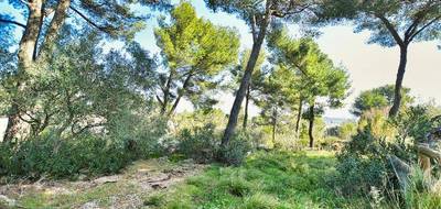 Terrain à Clermont-l'Hérault en Hérault (34) de 3865 m² à vendre au prix de 45000€ - 2