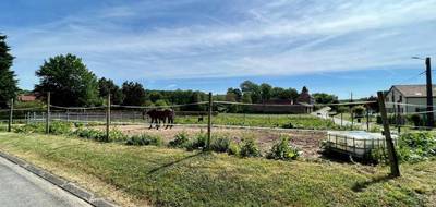 Terrain à Courtemanche en Somme (80) de 2230 m² à vendre au prix de 104900€ - 4