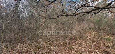 Terrain à Saint-Jean-de-Côle en Dordogne (24) de 6671 m² à vendre au prix de 36000€ - 4