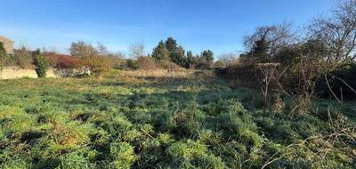 Terrain à Les Rairies en Maine-et-Loire (49) de 3241 m² à vendre au prix de 32500€ - 3