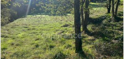 Terrain à Thiviers en Dordogne (24) de 6647 m² à vendre au prix de 36000€ - 4