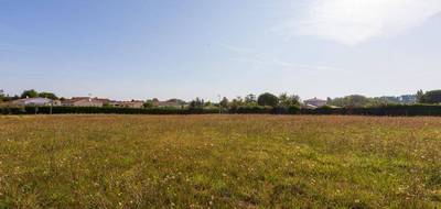 Terrain à Cravans en Charente-Maritime (17) de 3920 m² à vendre au prix de 140200€ - 2