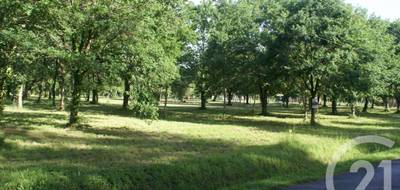 Terrain à Saint-Vivien-de-Médoc en Gironde (33) de 3960 m² à vendre au prix de 80000€ - 4