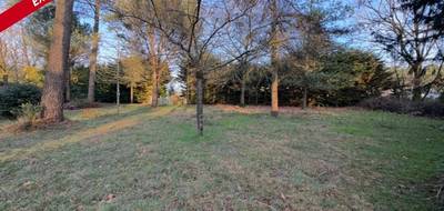 Terrain à Molac en Morbihan (56) de 620 m² à vendre au prix de 49950€ - 3