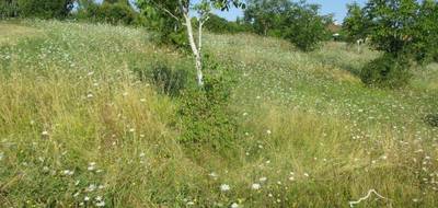 Terrain à Coux et Bigaroque-Mouzens en Dordogne (24) de 3445 m² à vendre au prix de 45000€ - 3